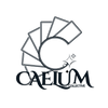 Caelum Collective - Home